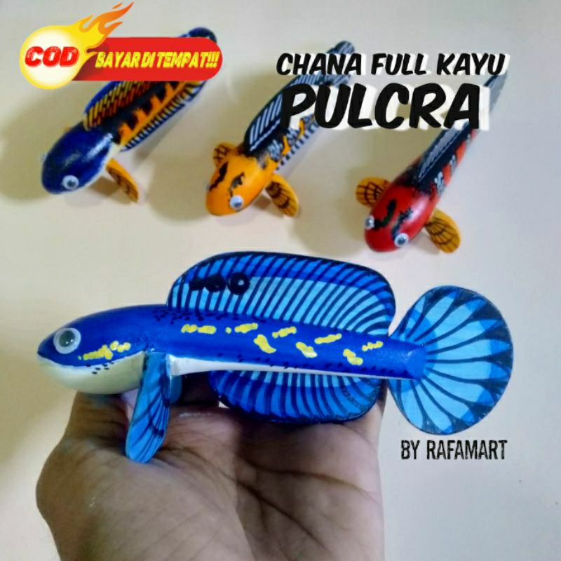 PATUNG CHANNA PULCRA PREMIUM