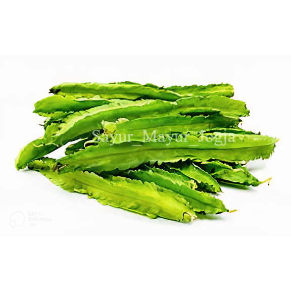 

KECIPIR | PER 250 GRAM