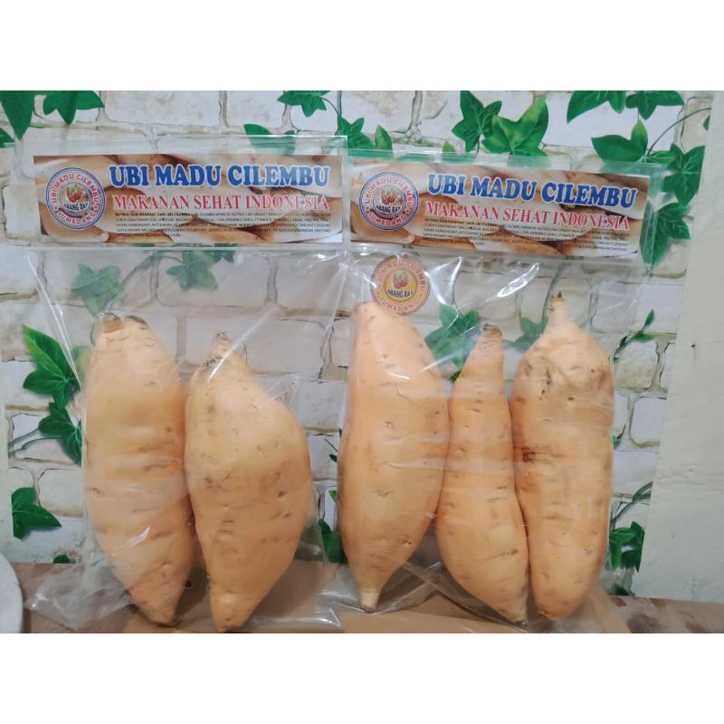 

ubi cilembu jumbo