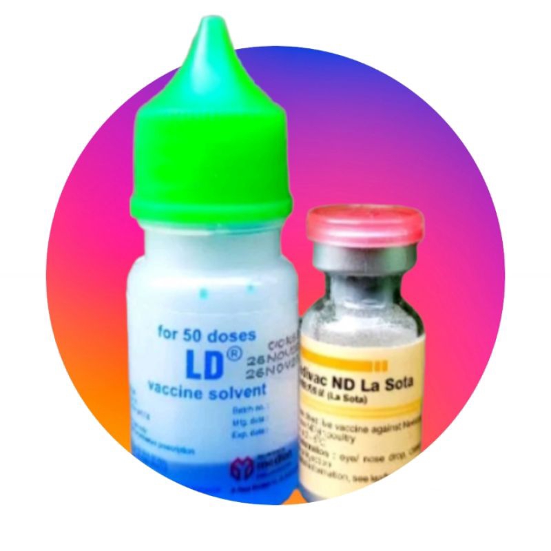 Vaksin medivac ND Lasota dan larutan Dapar Dosis 50 ekor ayam