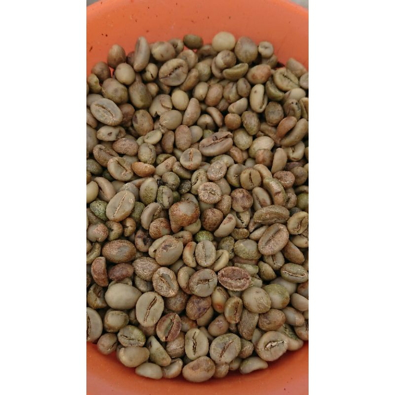 

Robusta Komersil Gunung Kelir