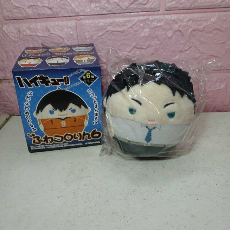 Akaashi Keiji Haikyuu Fuwakororin s Plush Original official