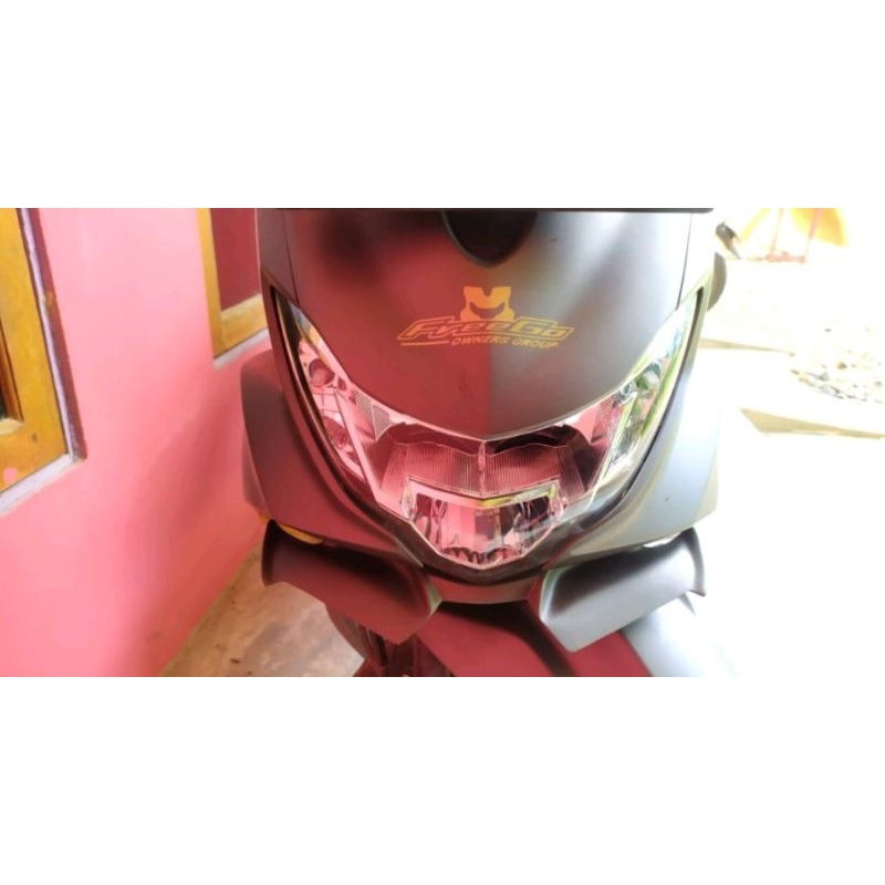 Winglet Yamaha freego Yamaha freego