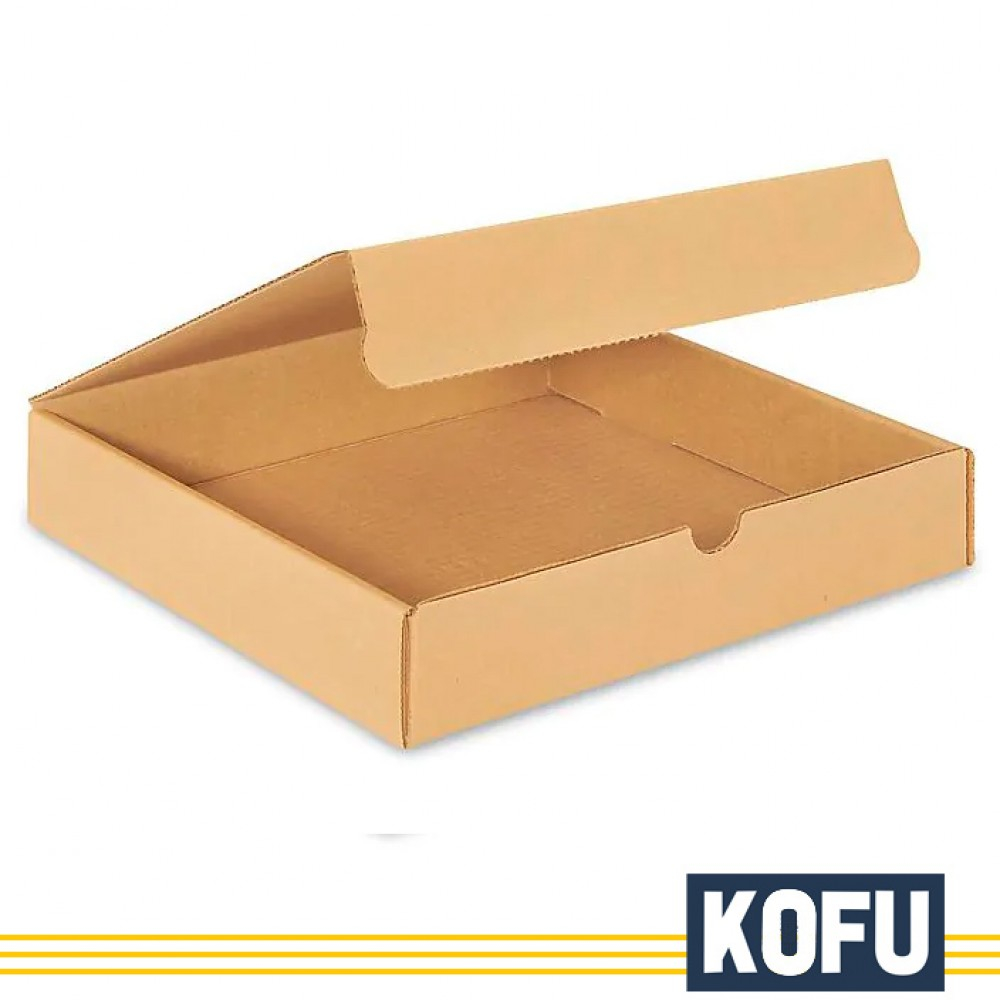 

Kardus Diecut - 25x25x5- Literature Mailers - K16651