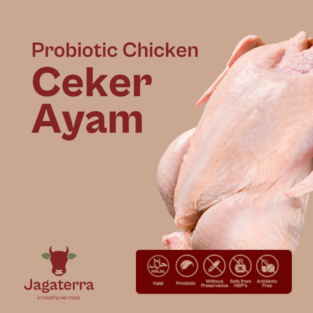 

Ceker Ayam Negri (900-1KG) - Berkah