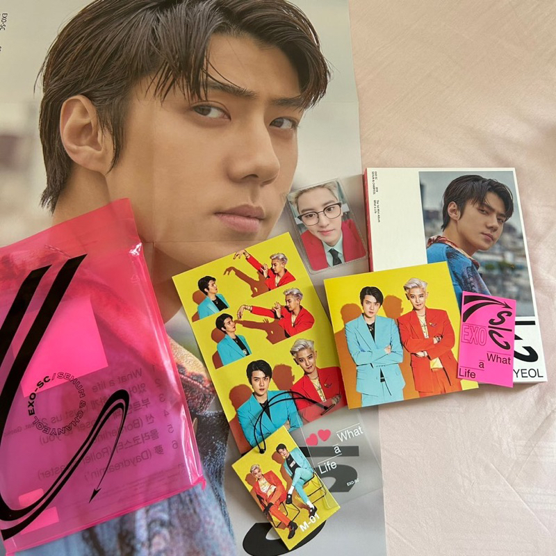 PC Chanyeol jasmer album sc what a life pink ver