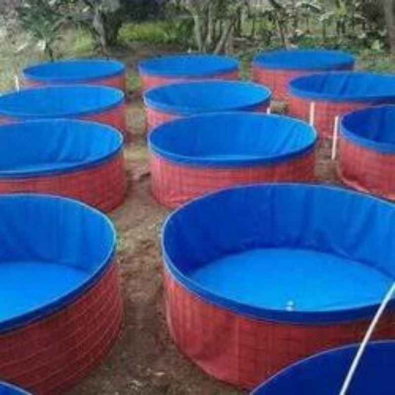 kolam bulat semi karet orchid D 2