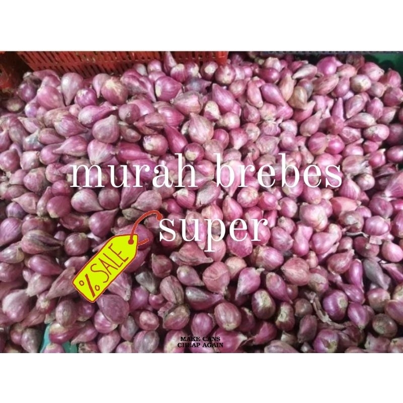 

BAWANG MERAH BREBES SUPER 1 KG