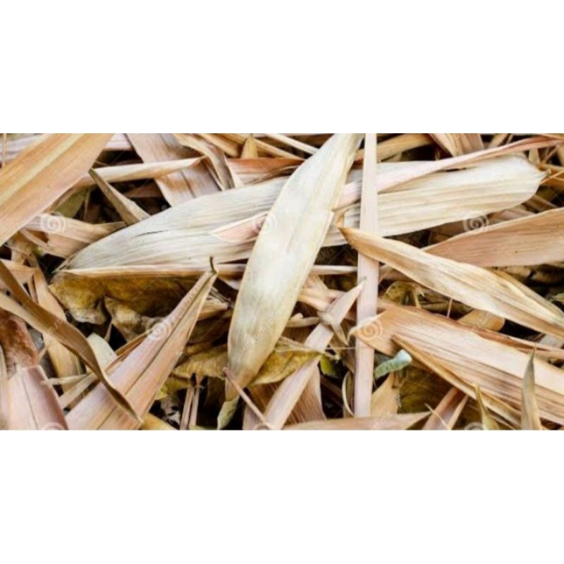 

Daun bambu kering perlembar di ambil dadakan