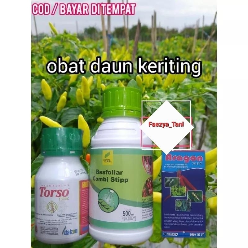 Pengendali | Obat Kriting Daun