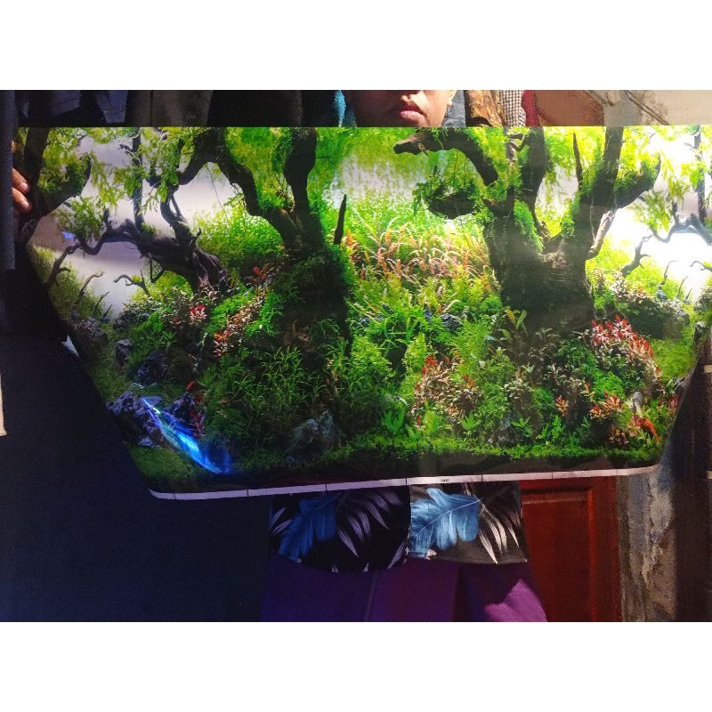 Cover Aquarium/ Background Aquarium/ Gambar Belakang Aquarium (t 50 cm)