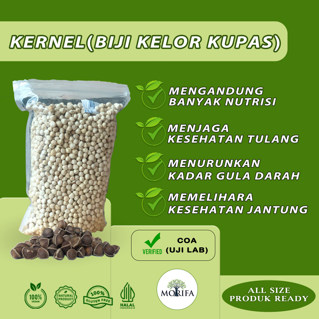 

Biji Kelor Kupas Organik Kernel Moringa Seeds Kualitas Export Premium Vacuum