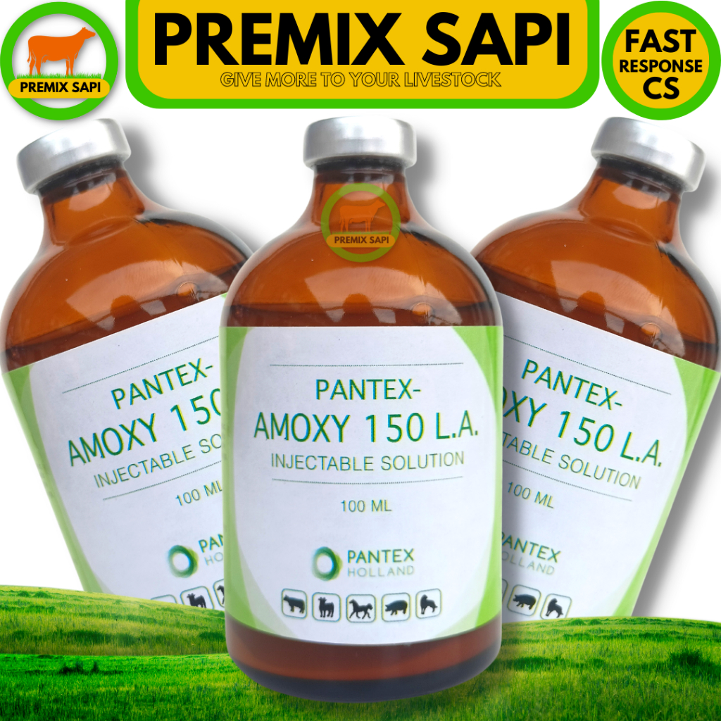 PANTEX AMOXY LA 150 100 ml - Like Betamox Longamox Intramox