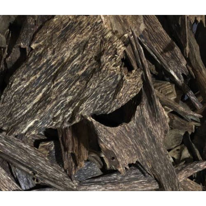 kayu gaharu asli kalimantan