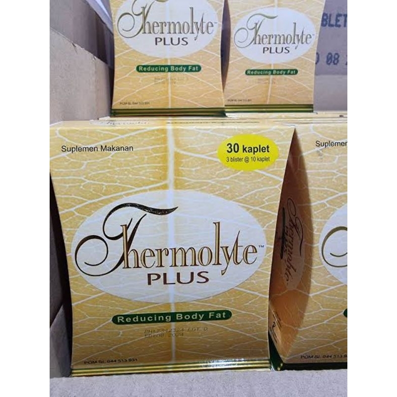 THERMOLYTE plus isi 30 kaplet