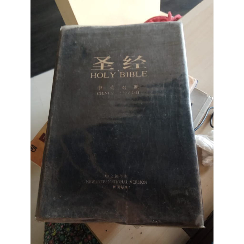 HOLY BIBLE CHINA/INDONESIA NEW INTERNATIONAL VERSION  LD500