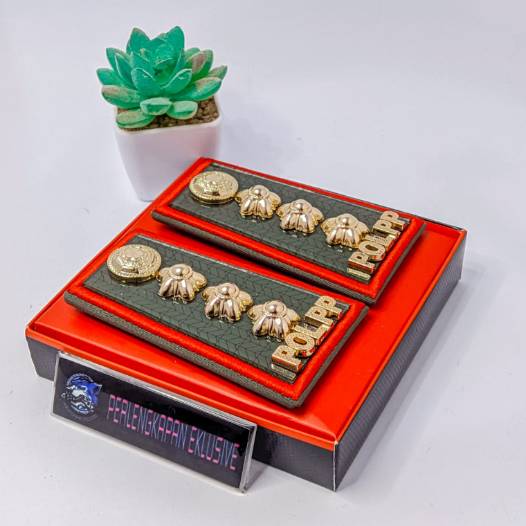 PANGKAT SATPOL PP GOLONGAN 4B - PANGKAT POL PP GOLONGAN 4B - POLPP 4B - SATPOLPP 4B - POL PP 4B - SA