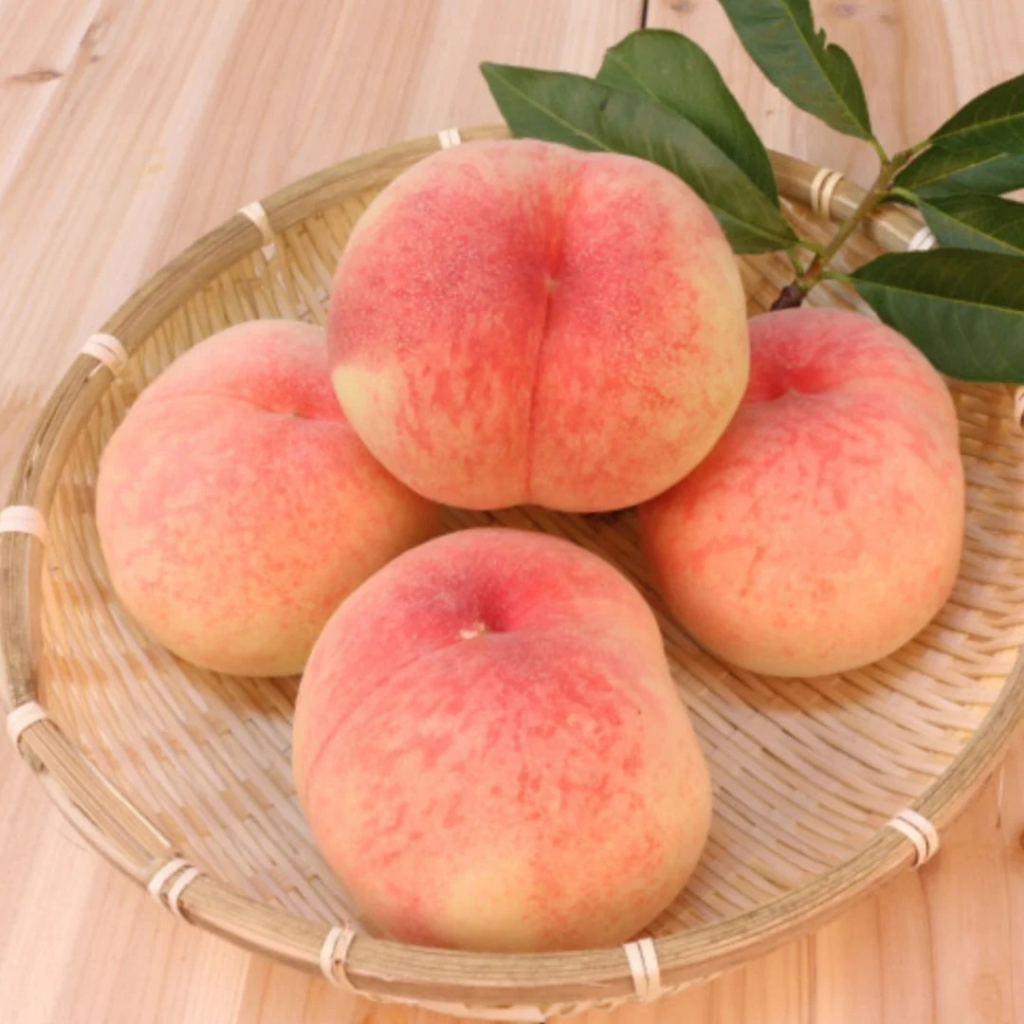 

PEACH KOREA - PEACH IMPORT - SUKABUAH