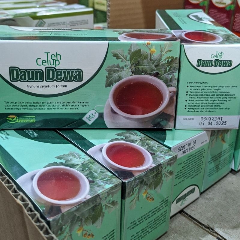 

Teh Herbal Daun Dewa Mampu Mengobati Stroke Darah Tinggi | Dijamin Original 100%