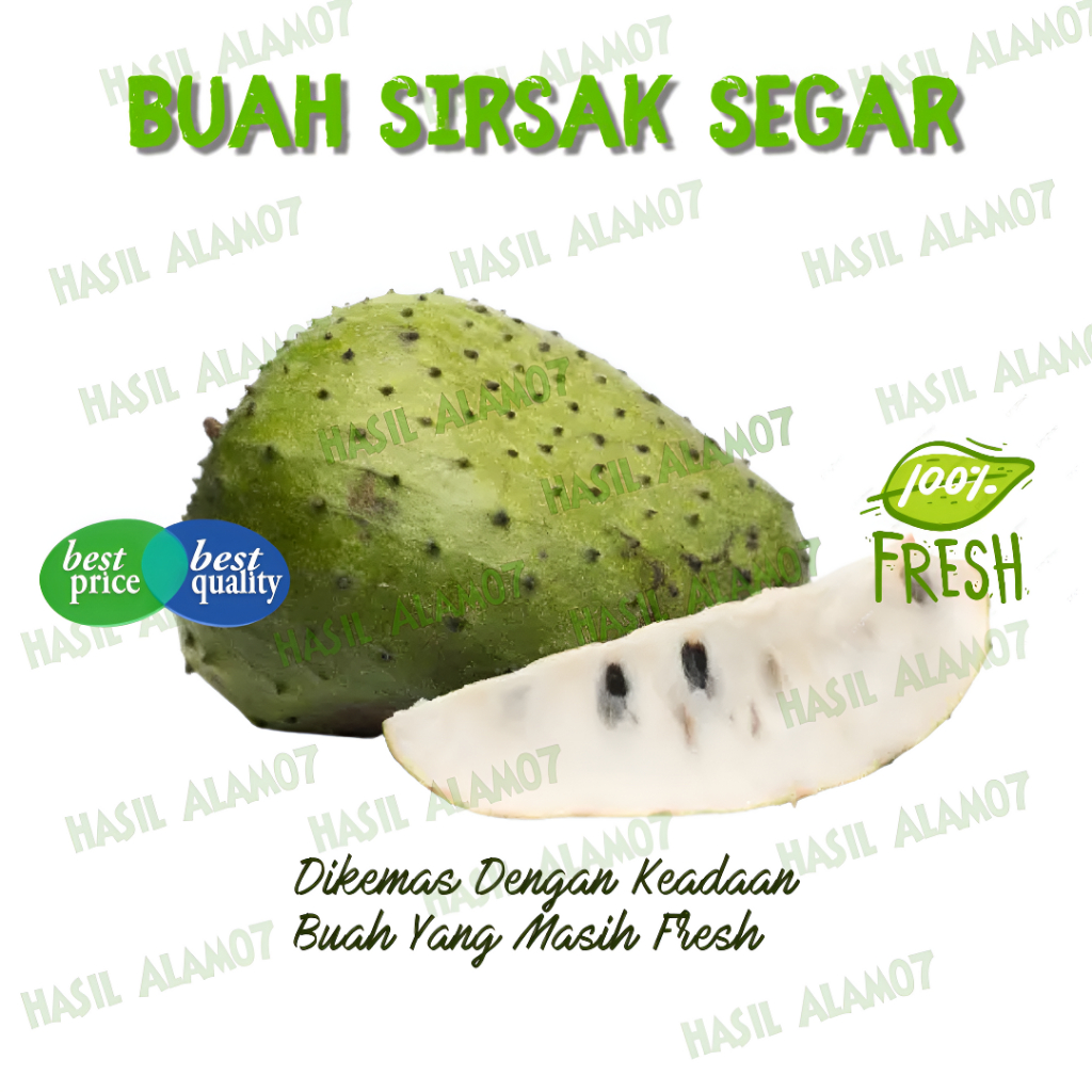 

Buah Sirsak Segar Fresh 1kg