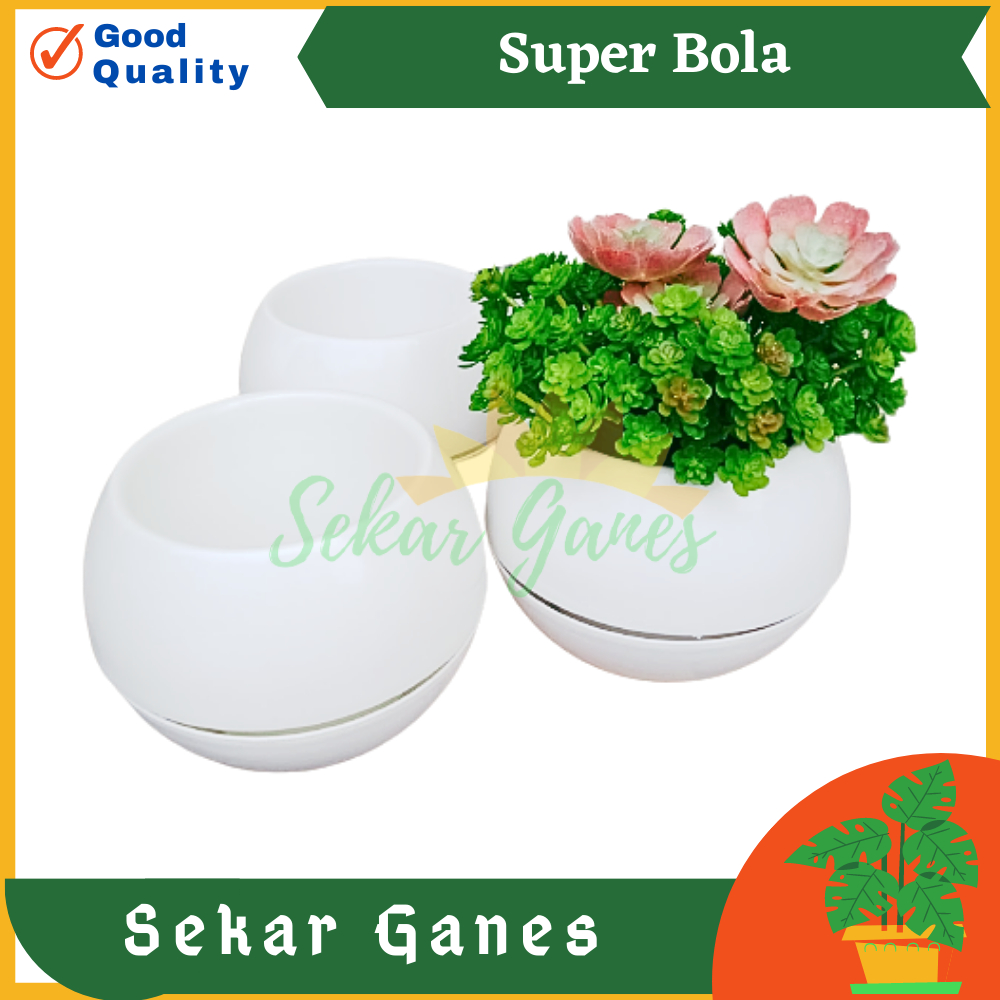 TERMURAH Pot Super Bola Putih Pot Bulat Model Bola Pot Vienna Tanaman Plastik Putih 677 676 Anggrek 