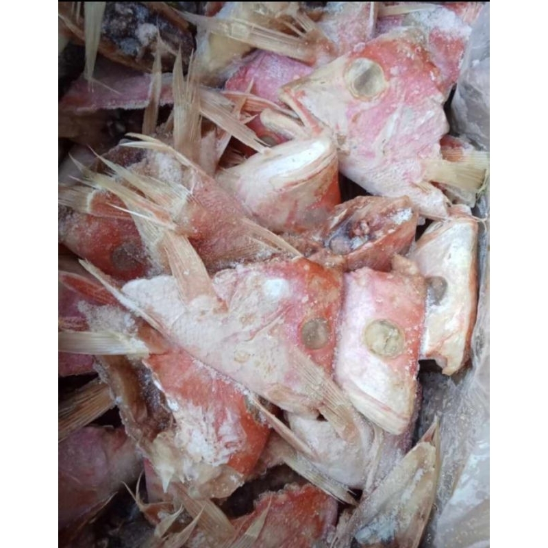 

kepala kakap merah 1 kg