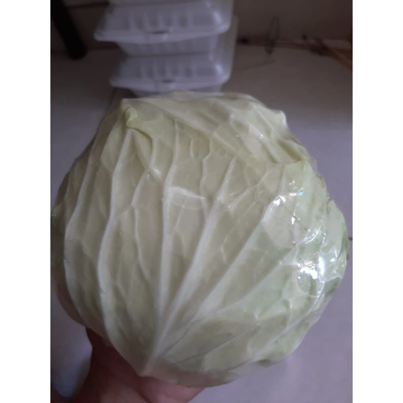 

kubis/gubis/kol putih per kilogram