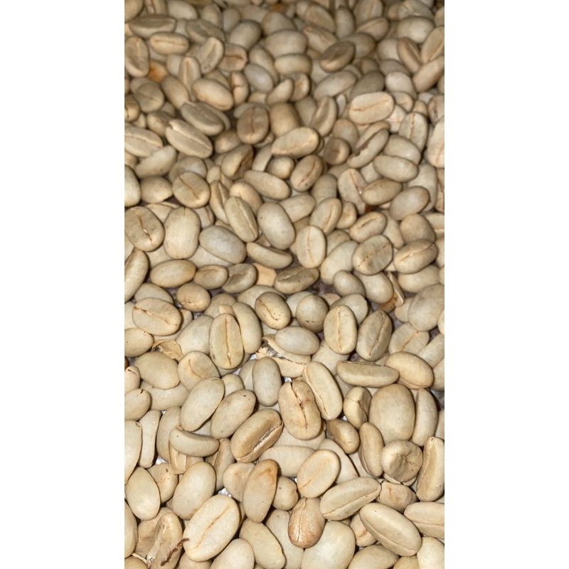 KOPI ARABIKA GREENBEAN NATURAL