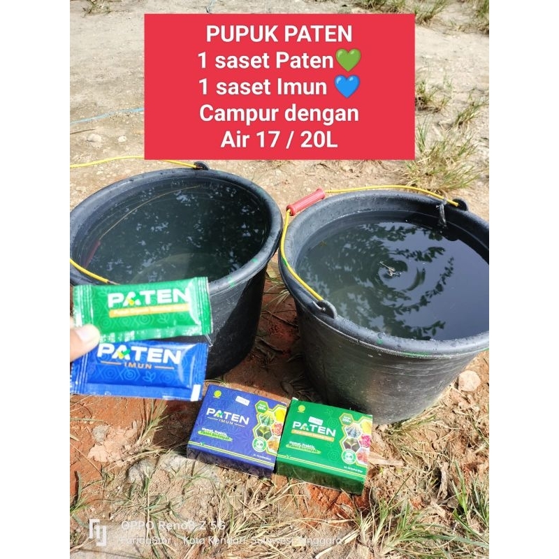 Pupuk Paten mix Paten Imun