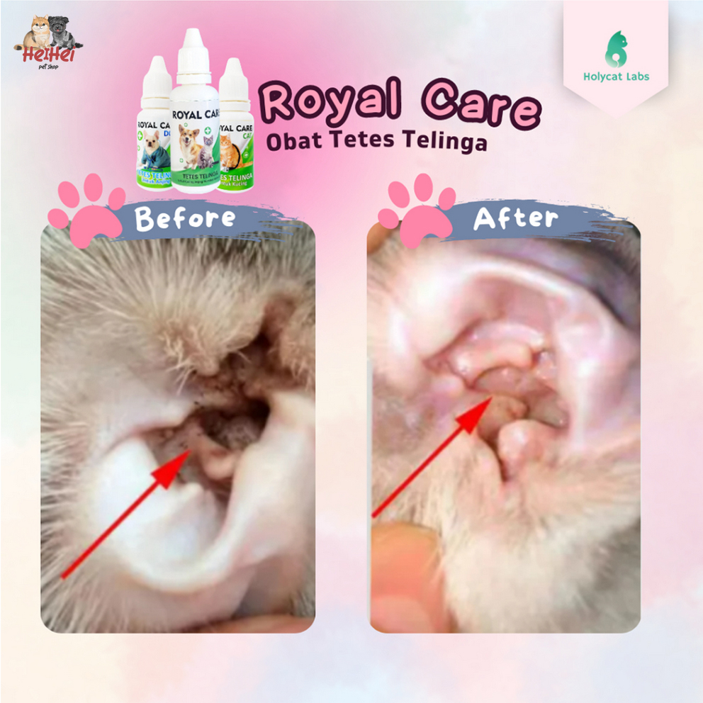 Royal Care Obat Tetes Pembersih Sakit Telinga Kucing Anjing Kelinci Hamster Hewan - Healthy Ear Dog Cat