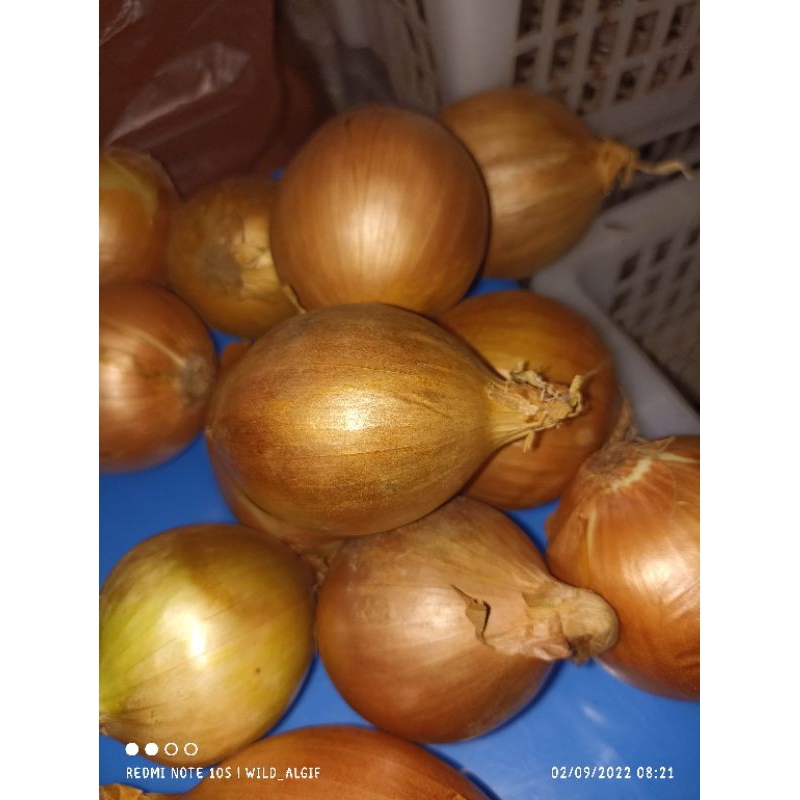

bawang bombay 250 gram