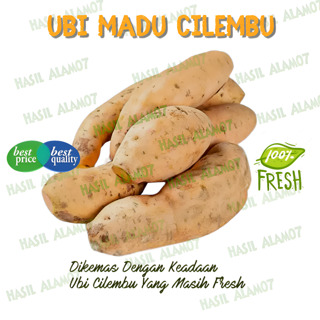 

Ubi Madu Cilembu Segar 1Kg