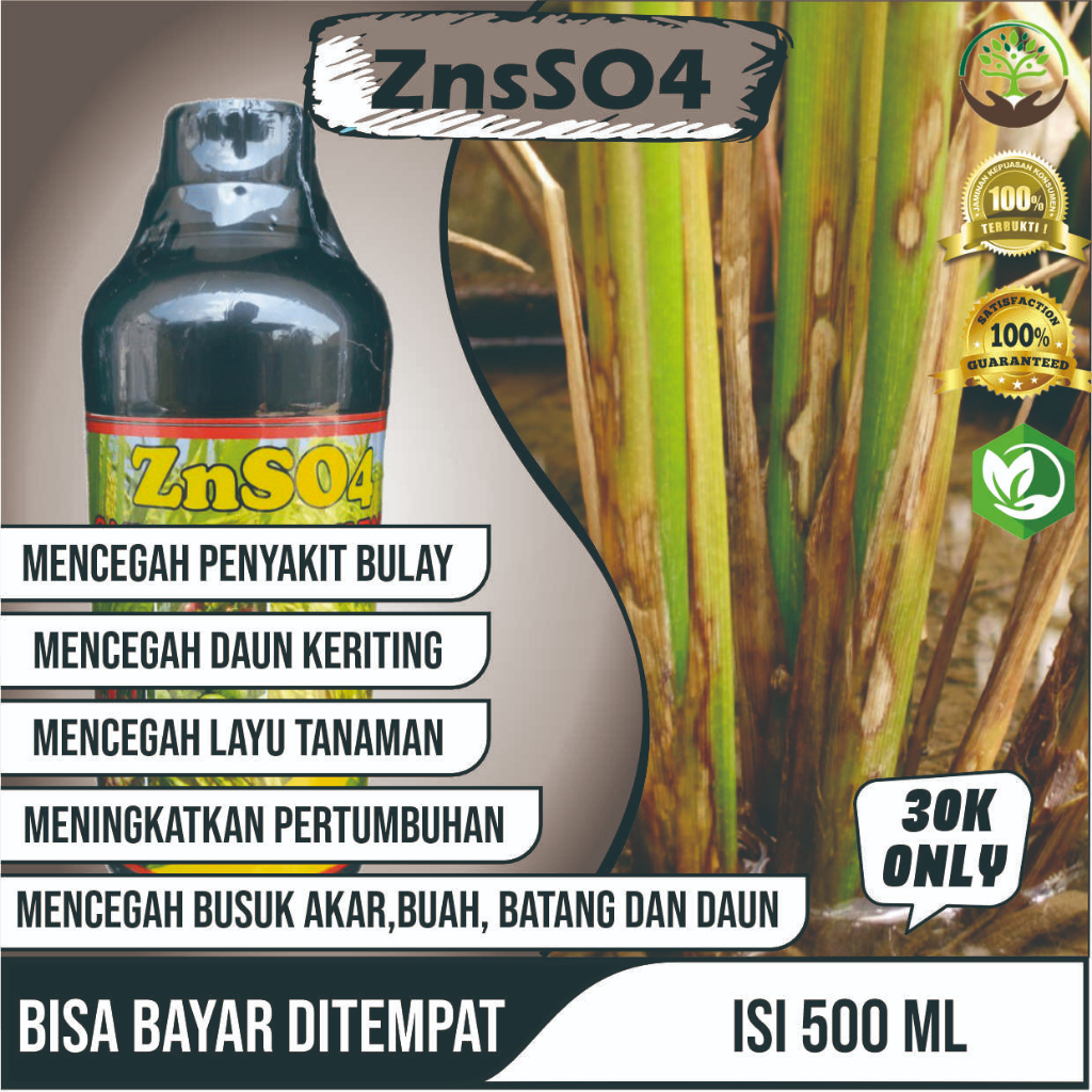 PUPUK ZNSO4 ISI 500ML UNTUK MEMPERBANYAK ANAKAN PADI CEGAH DAN ATASI ASEM ASEMAN ZNSO4