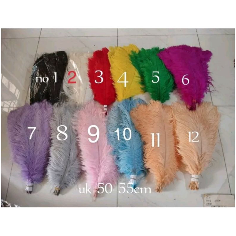 Bulu Dekorasi Ostrich uk. 50-55 cm