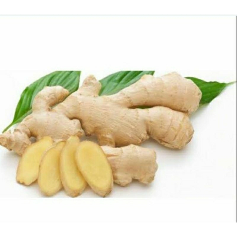 

jahe putih super/jahe gajah fresh (1kg)