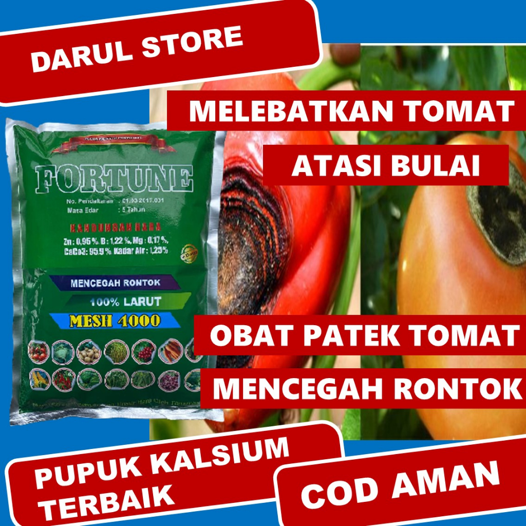 REKOMENDED Obat Daun Kuning Keriting Rontok Daun dan Buah Tomat - Pupuk Kalsium FORTUNE Ampuh Mengat