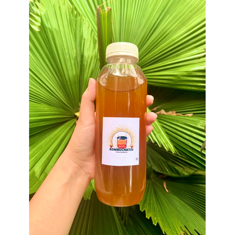 

Kombucha Tea 500 ml