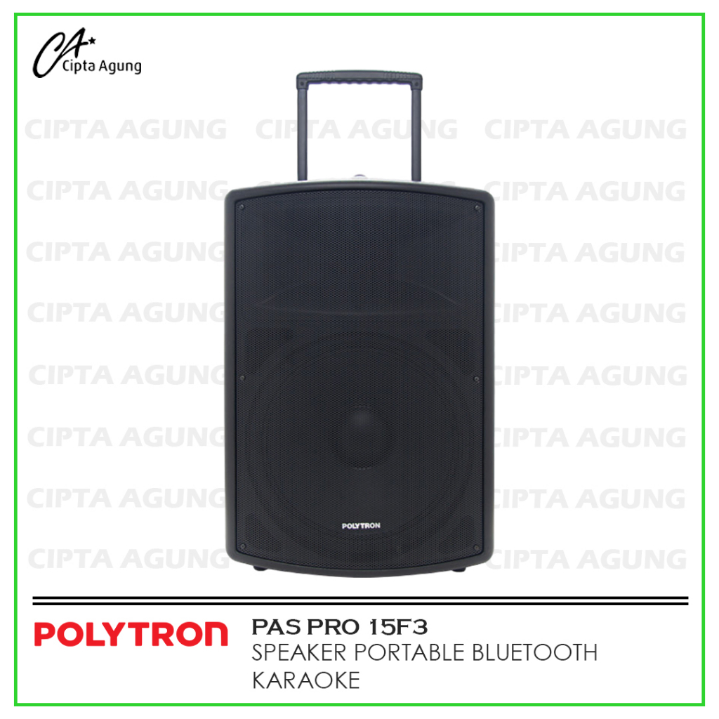 POLYTRON PROFESSIONAL SPEAKER PORTABLE PAS-PRO15F3 PAS PRO15 F3  PASPRO15F3  PAS PRO 15 F3  PASPRO 1