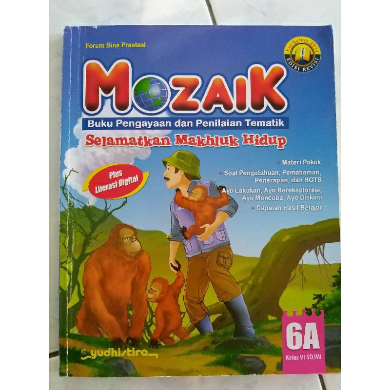 

MOZAIK 6 SD/MI //K13 REV