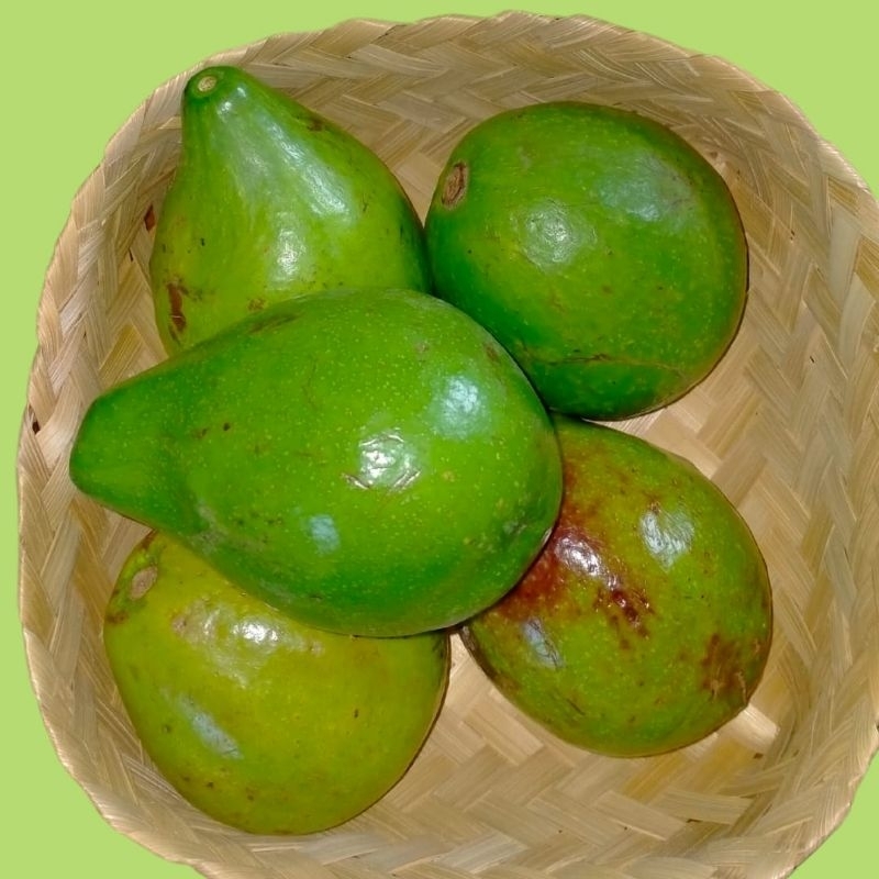 

2 kgAlpukatMentegaMini