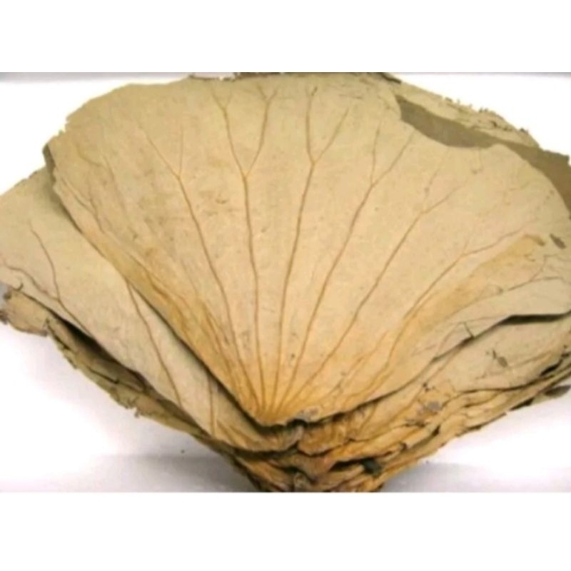 

dread Lotus leaf, daun teratai kering (dim sum Lo Makai) 250 gram