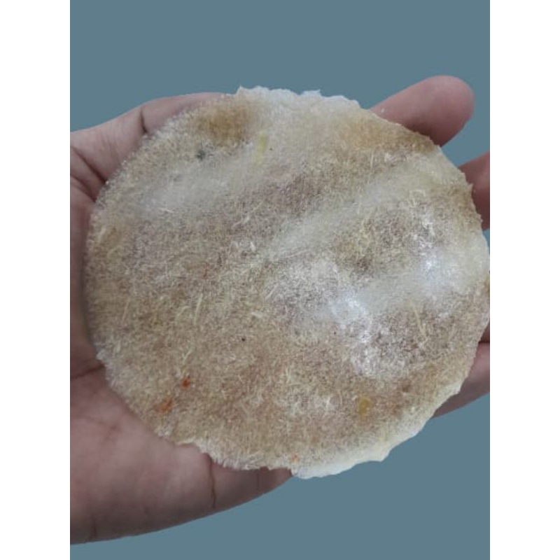 

100 PCS OPAK SAYUR SINGKONG TINGGAL DI GORENG