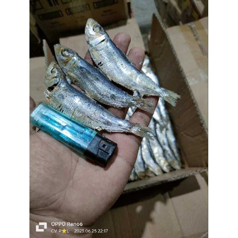 

Ikan asin tamban rebus/TBR