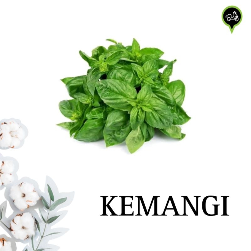 

Kemangi