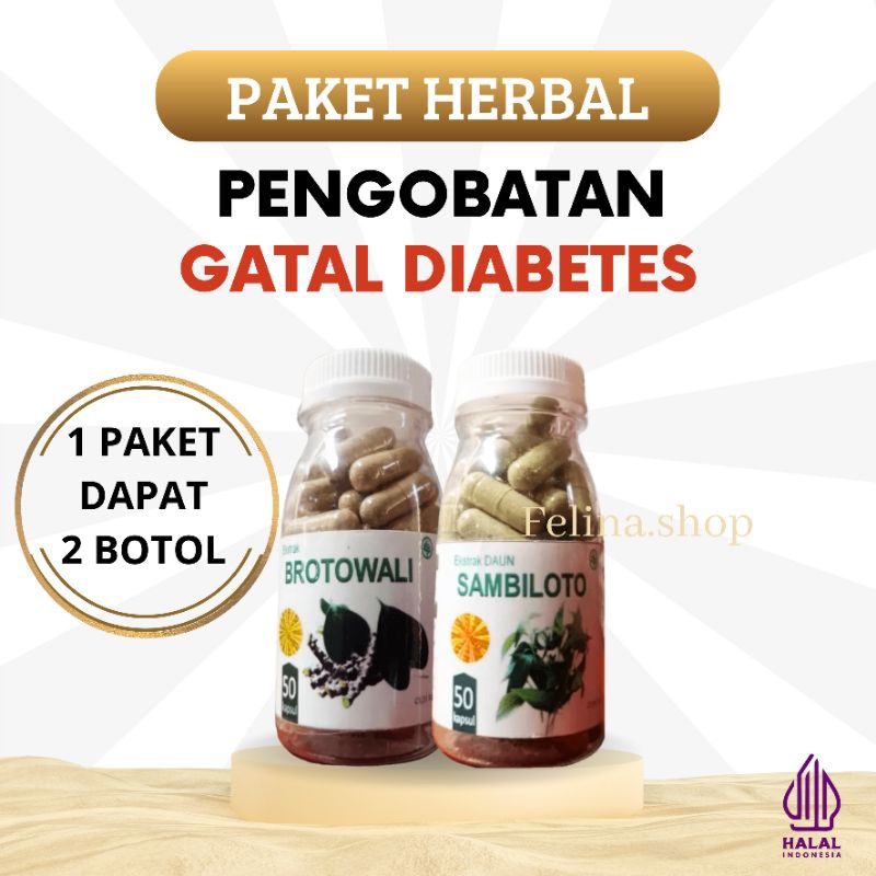 Herbal obat gatal kulit diabetes paling ampuh suplemen penurun gula darah paket brotowali sambiloto 