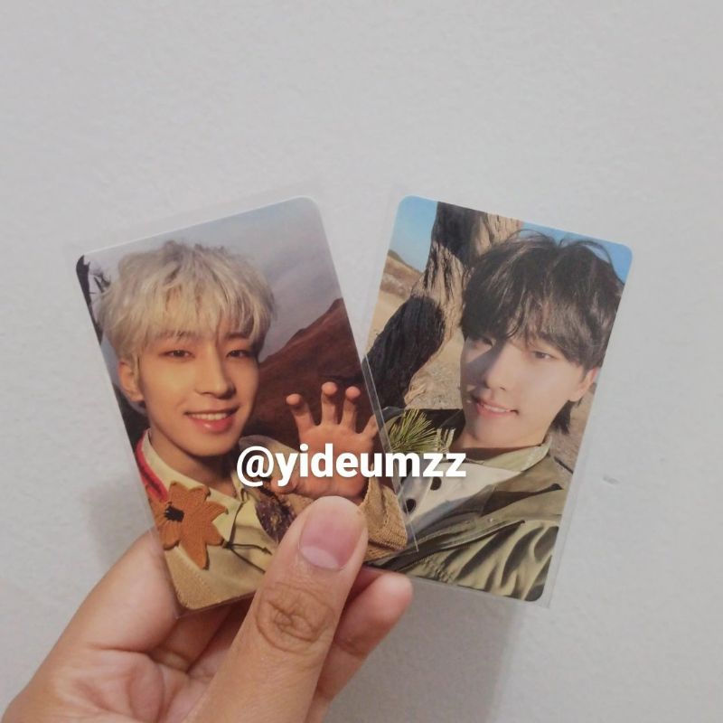 Wonwoo horanghae pc