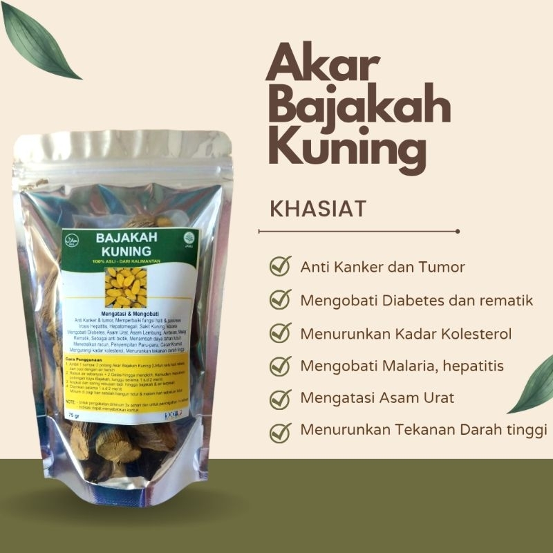 

HERBAL AKAR KAYU BAJAKAH KUNING ASLI KALIMANTAN ORIGINAL