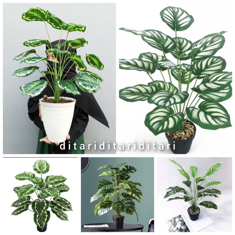 Tanaman daun hias jumbo tanaman plastik monstera keladi aglonema jumbo