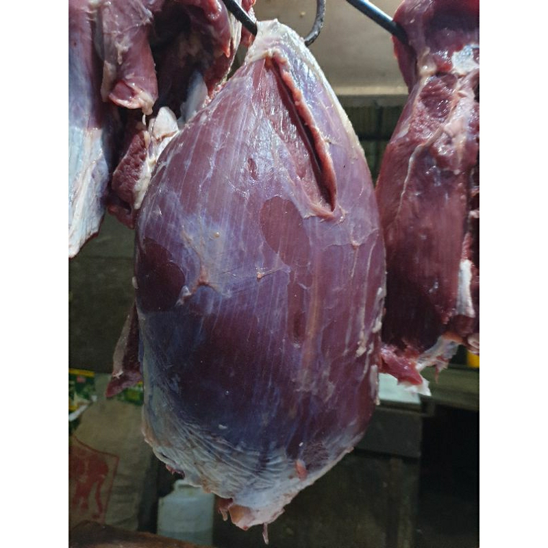 

Daging sapi LOKAL fresh & frozen