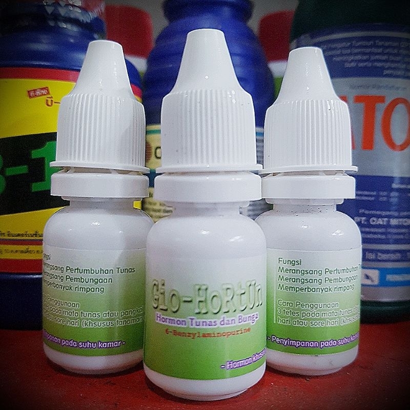 GIO HORTUN Perangsang Bunga dan Tunas Anggrek